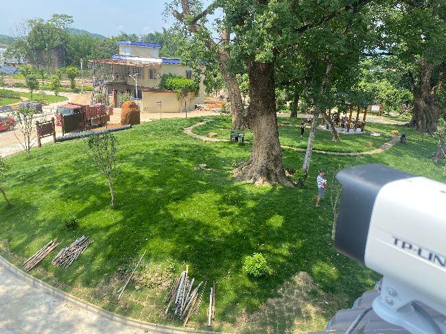 乡村道路的监控.jpg