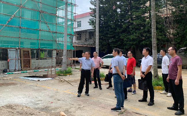 凌福传到周陂镇调研撂荒耕地复耕、乡村振兴驻镇帮镇扶村工作.jpg