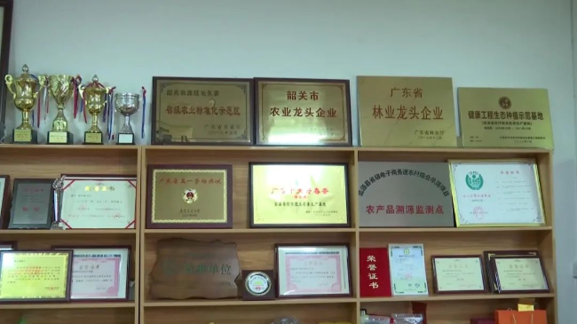 文章配图