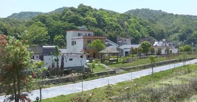 文章配图