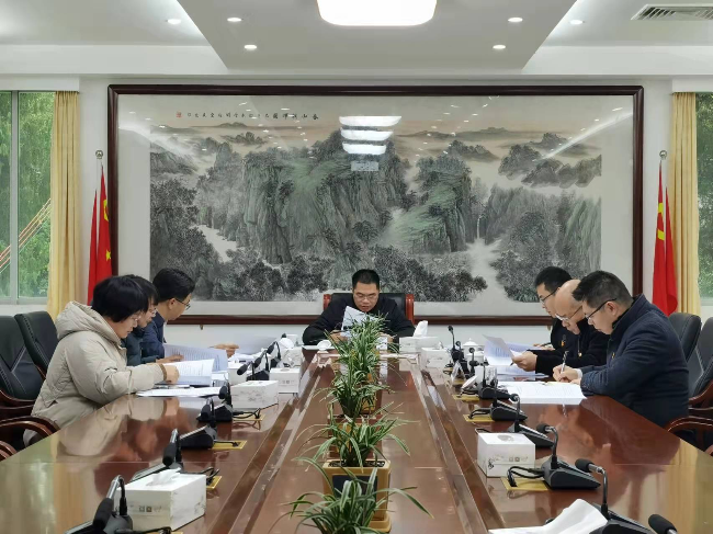 县政府办系统党委、县政府办党组召开党史学习教育专题民主生活会.jpg