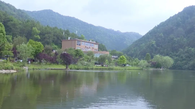 文章配图
