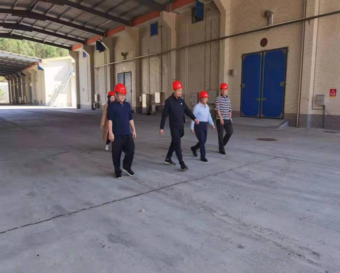 g.jpg