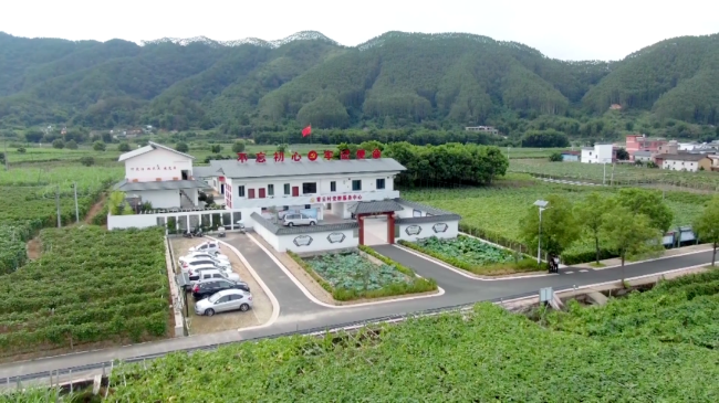 文章配图