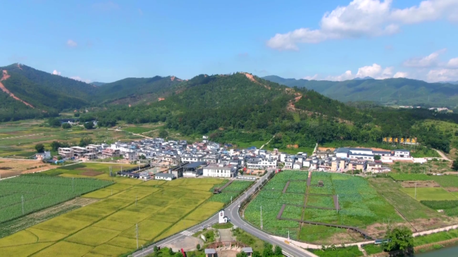文章配图