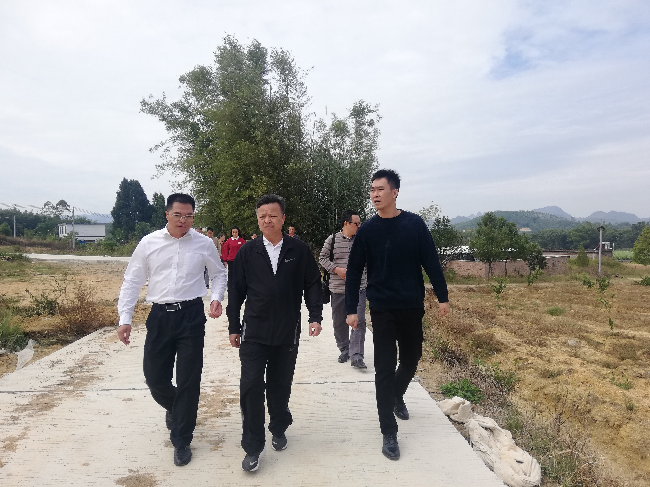 林有成副主任一行在周陂镇洪兰村道路建设现场调研.jpg