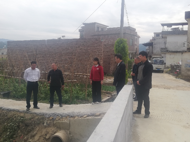 林有成副主任一行在周陂镇高一村拱桥建设现场调研.jpg