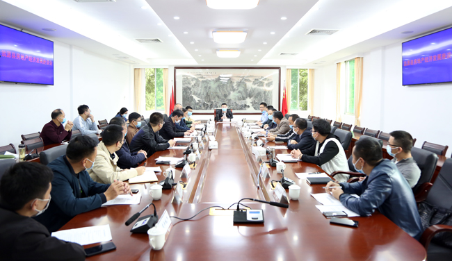 谭晓健主持召开房地产经济发展座谈会1.jpg