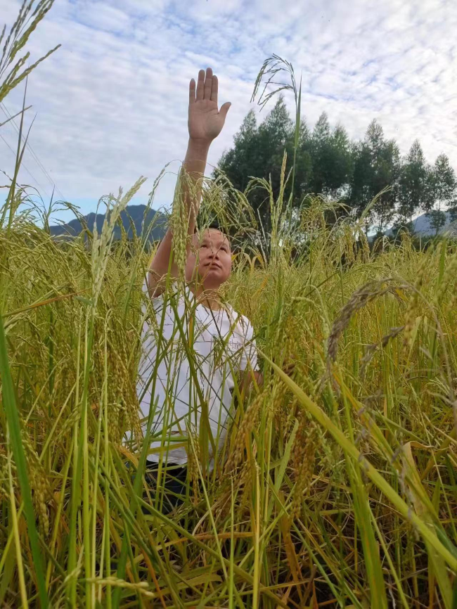 丘文昌在稻田里.jpg