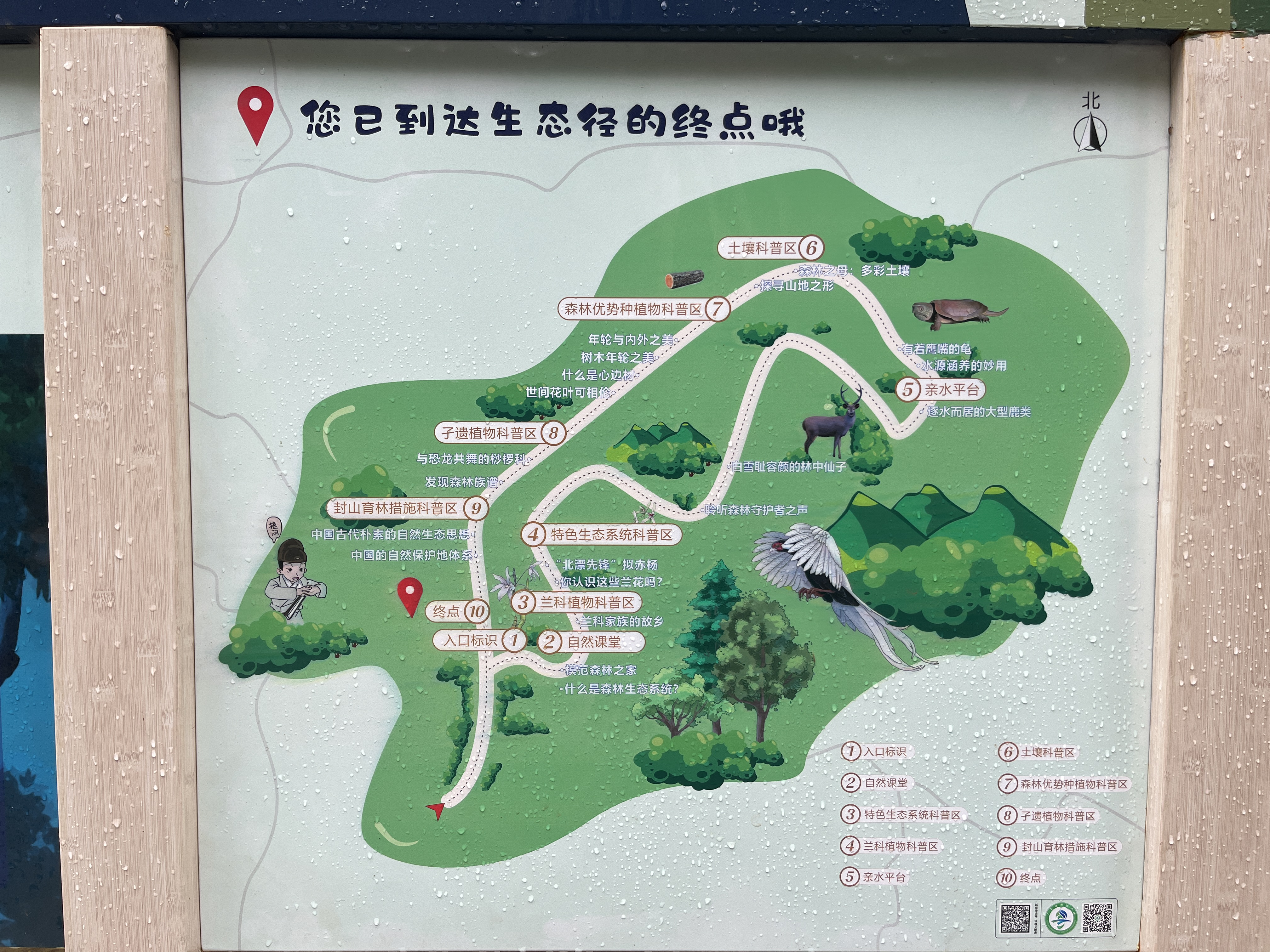 图片2.png