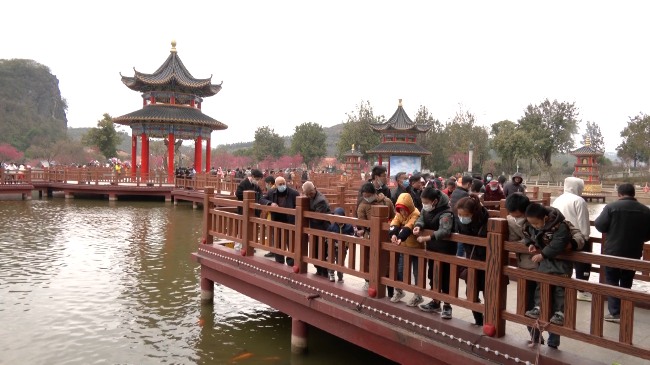 兔年新春 数万游客齐聚翁源东华山风景区游[00_01_13][20230125-115408].png
