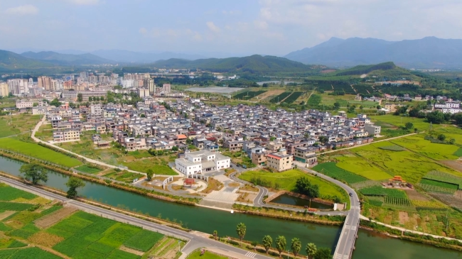 高校毕业生在翁源乡村振兴一线绽放青春风采（编好）.mp4_20230207_162728.886.jpg