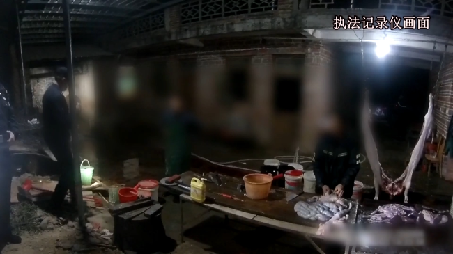 龙仙镇重拳出击 打掉一私宰生猪窝点.mp4_20230211_144406.643.jpg