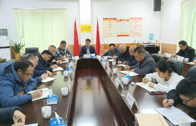 铁龙镇召开2023年汛前防汛准备工作会议.png