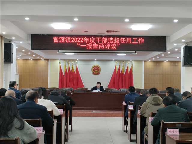 一报告两评议.jpg