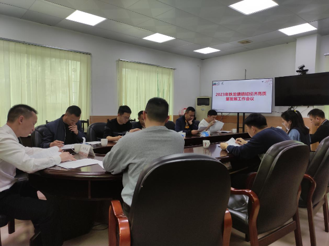 铁龙镇召开镇域经济高质量发展监测工作会议.png