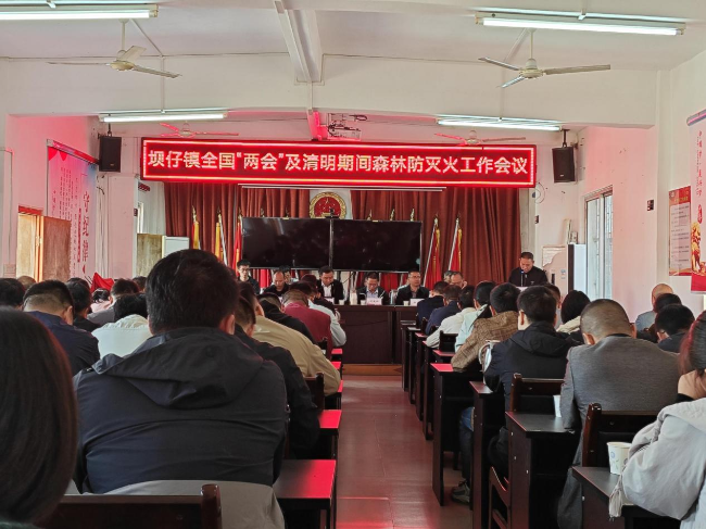 18坝仔镇召开全国“两会”及清明期间.png
