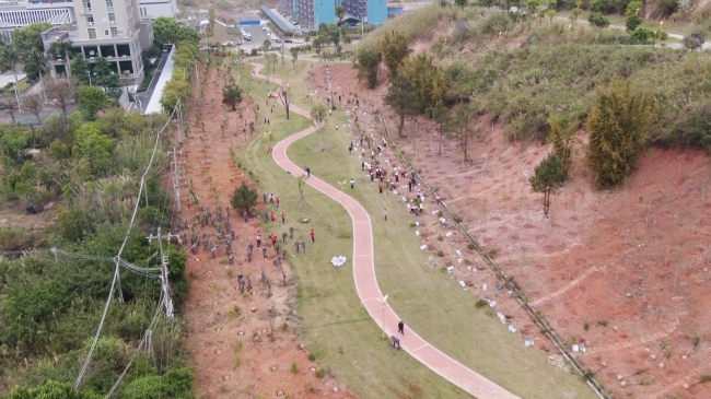植树造林.mp4_20230313_182439.834.jpg