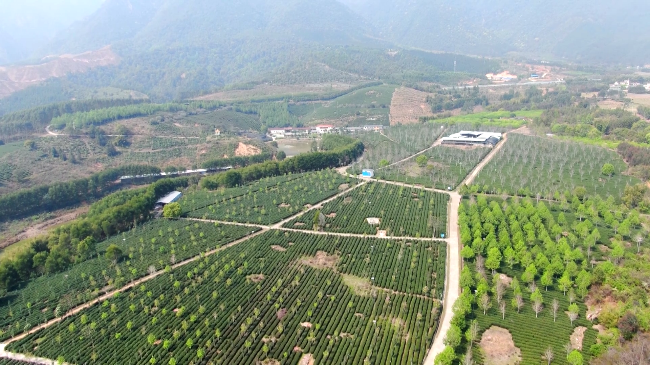 已编辑图片