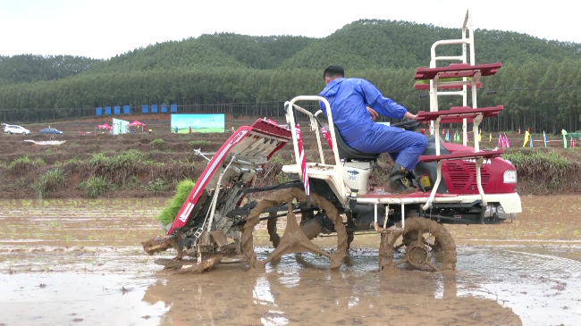 春雨不误农时 翁源县掀起春耕现代化种植热[00_01_43][20230330-155427].png