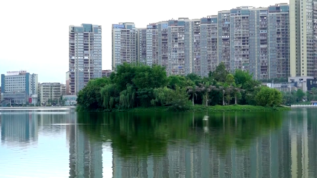 深入实施“六大行动” 高标准推进绿美翁源建设.mp4_20230417_175330.555.jpg
