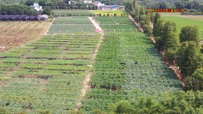 翁源县以高质量农业生产托管服务 实现山区农业生产节本增效.mp4_20230417_182024.270.jpg