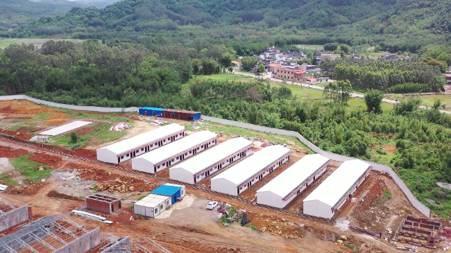 以产业振兴带动乡村振兴韶关立华笼鸡养殖项[00_01_48][20230504-164635].jpg