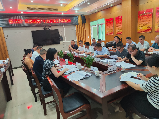 新江镇召开抓党建促“百千万工程”暨“五强五优”十大行动工作座谈会.jpg
