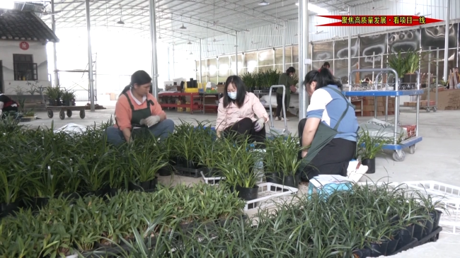 兰化产业链.mp4_20230624_155603.224.jpg