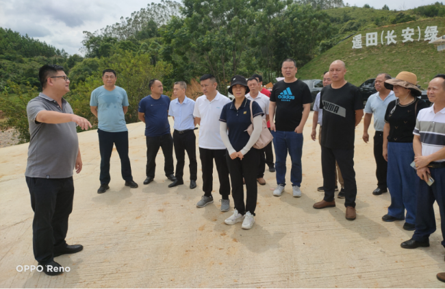 【聚焦高质量发展】——江尾镇外出考察牛蛙养殖项目 探索乡村产业发展新路径.png