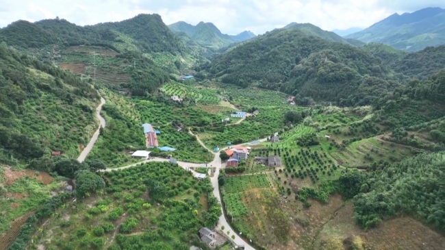 九仙桃.mp4_20230627_184519.833.jpg