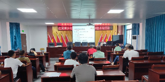 江尾镇开展乡村振兴九仙桃摘后保鲜.jpg