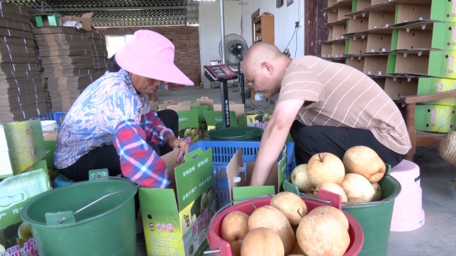 翁源水晶梨成熟上市.mp4_20230714_171952.280.jpg
