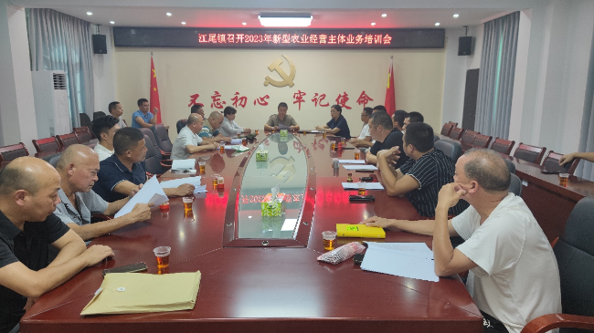 图片11.png