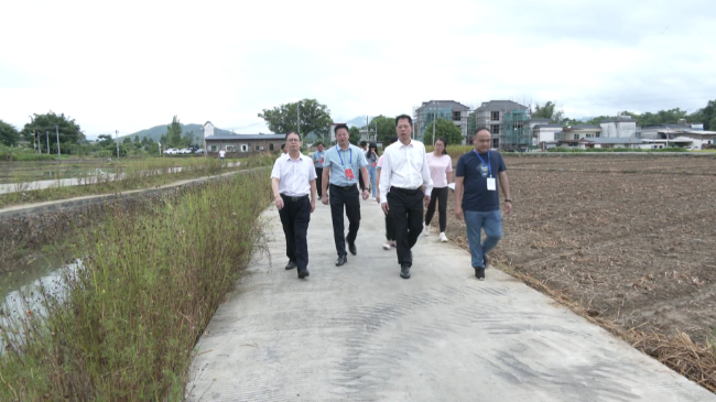 高书记参加江尾和龙仙人大主题活动及7月签[00_05_45][20230719-174644].png