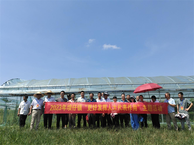 图片 1.png