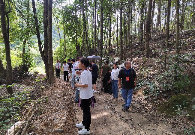 【代表主题活动】新江镇组织代表开展林下灵芝种植调研.jpg