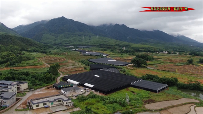 松岗村密码.mp4_20230728_175015.473.jpg
