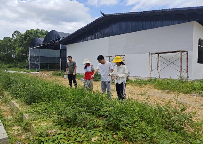 江尾镇农技人员到村开展红火蚁防治.jpg