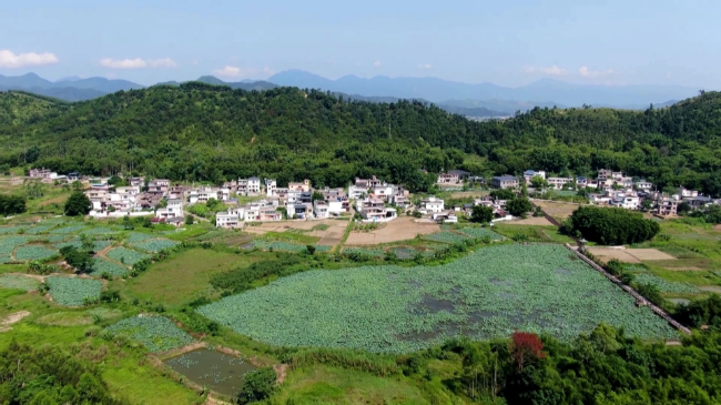 龙仙镇马牯塘村着力提升村民幸福感创建省级[00_03_28][20230805-111243].png