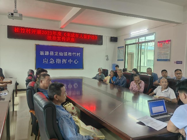 龙仙镇开展《未成年人保护法》法治宣传主题活动.jpg