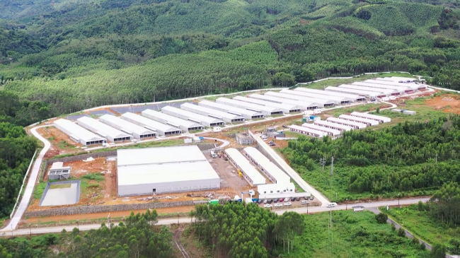 韶关立华种鸡孵化场项目建成投入生产[20231005-102447].png