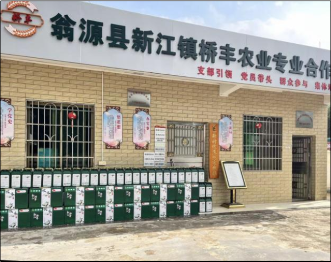 新江镇：党建帮扶聚合力，乡村振兴添动力1.png