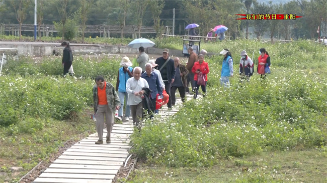江尾.mp4_20231023_175429.613.jpg