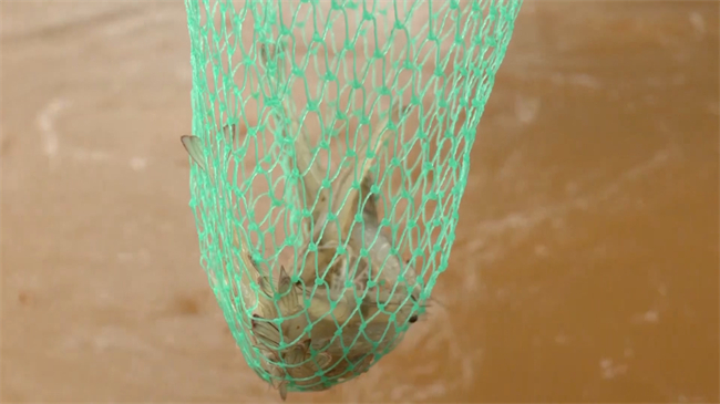 海虾.mp4_20231025_182021.420.jpg