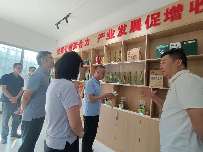 韶关市中级人民法院谢庆文一行到新江镇调研乡村振兴工作情况.jpg