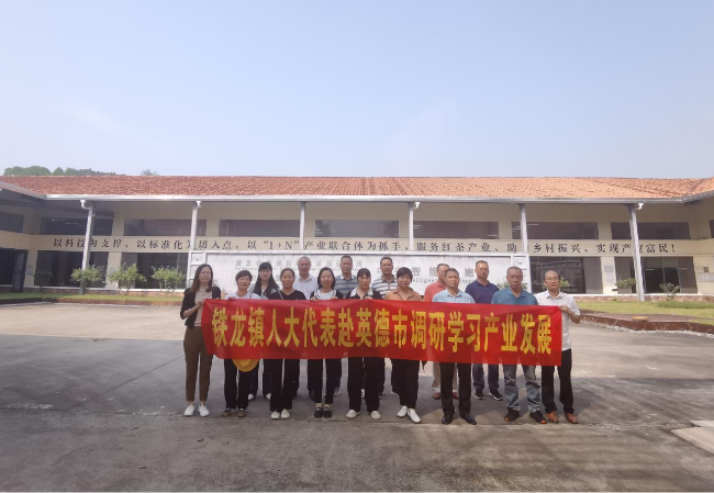 铁龙镇组织人大代表外出调研学习.png