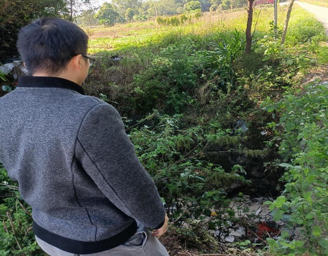 新江镇开展人居环境整治行动.jpg