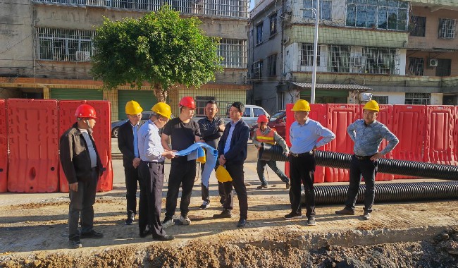 【聚焦百千万工程】铁龙镇党委书记张文实地督导近期重点工作推进情况.jpg