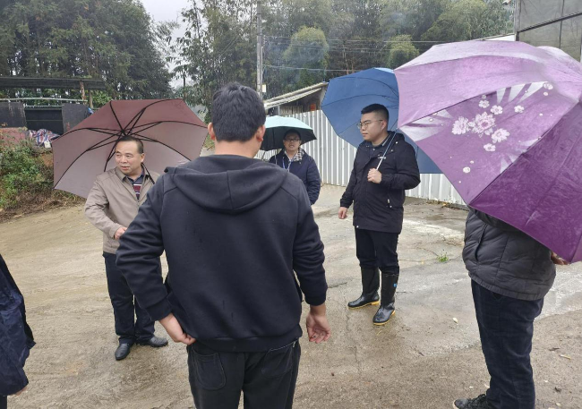 新江镇开展养殖场专项检查.png